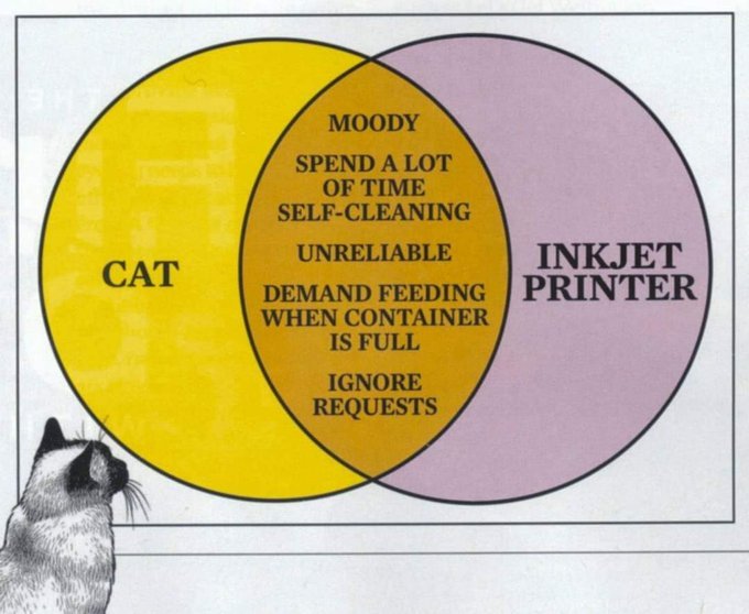 catprinter.jpg